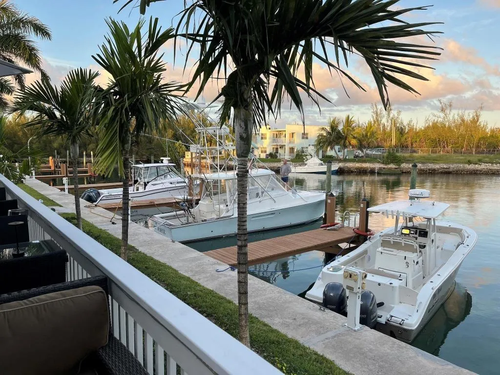 General view, Dolphin Cove - Adults Only, Freeport
