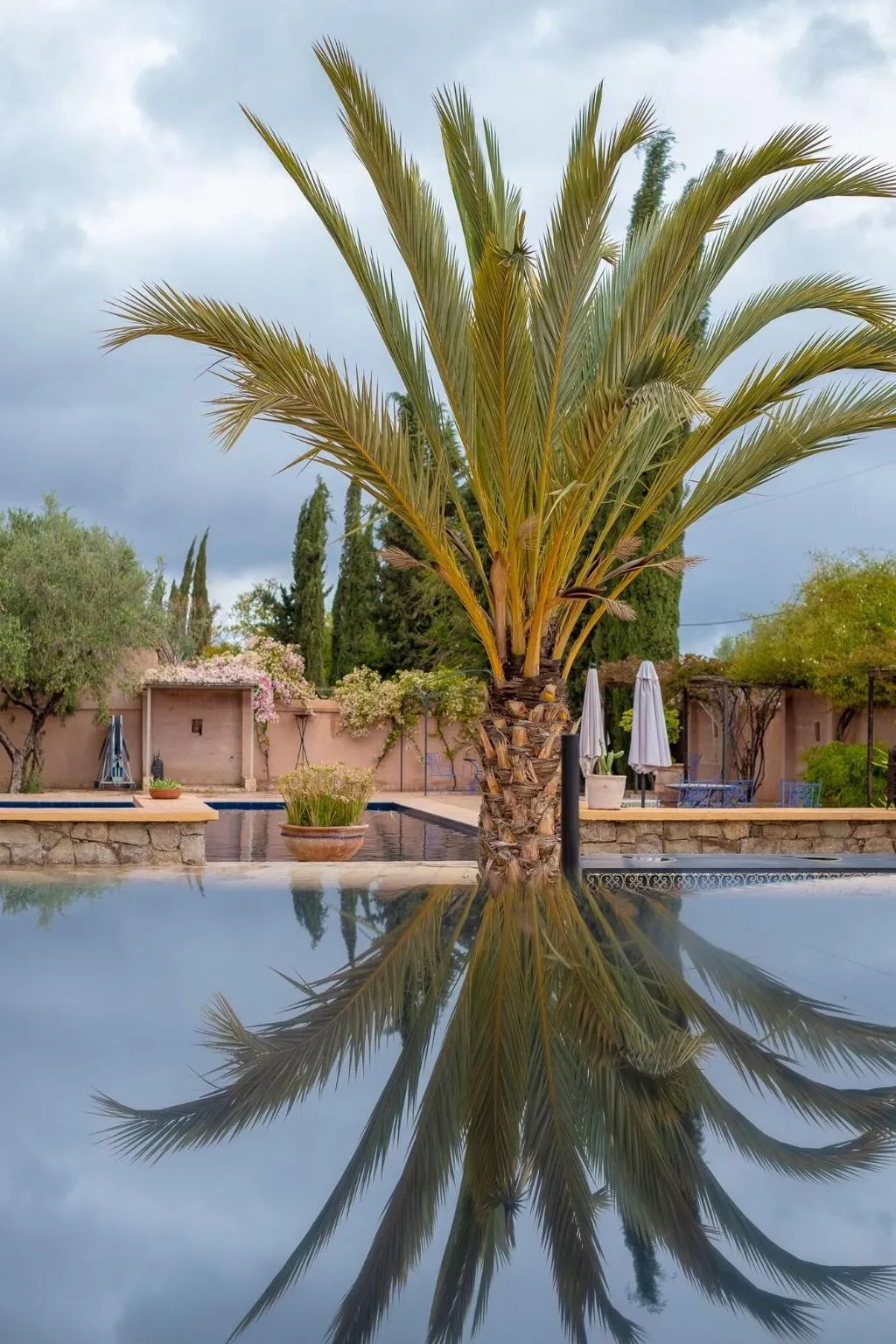 Sports and Entertainment, Le Chant Des Oliviers, Marrakech