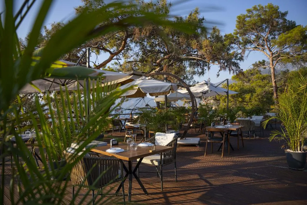 Restaurant, Lov Faralya, Dalaman