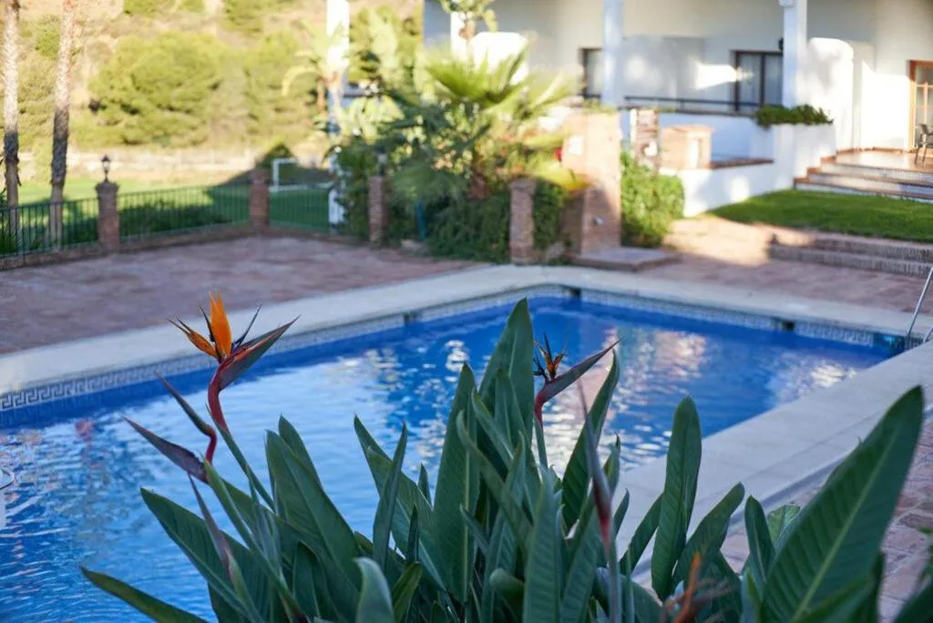 Pool, Alhaurin Golf Hotel, Costa Del Sol