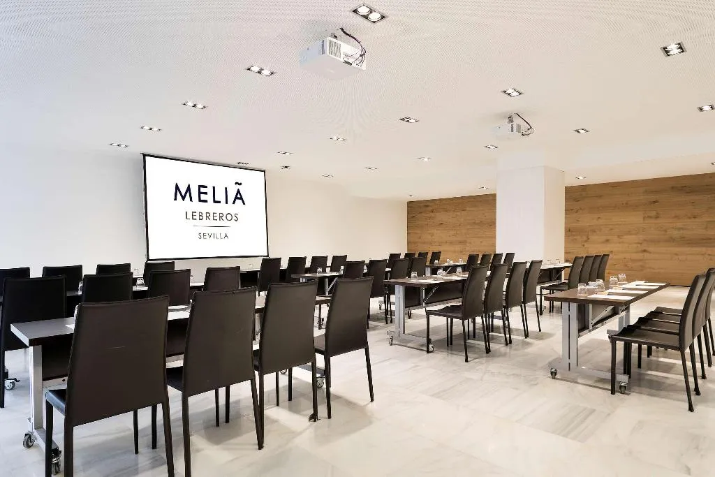 Conferences, Melia Lebreros, Seville
