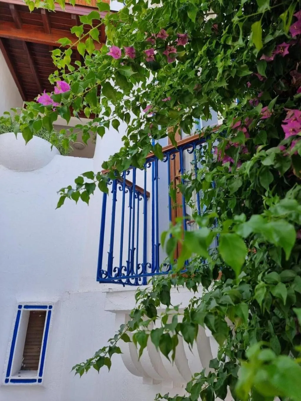 General view, Eden, Bodrum