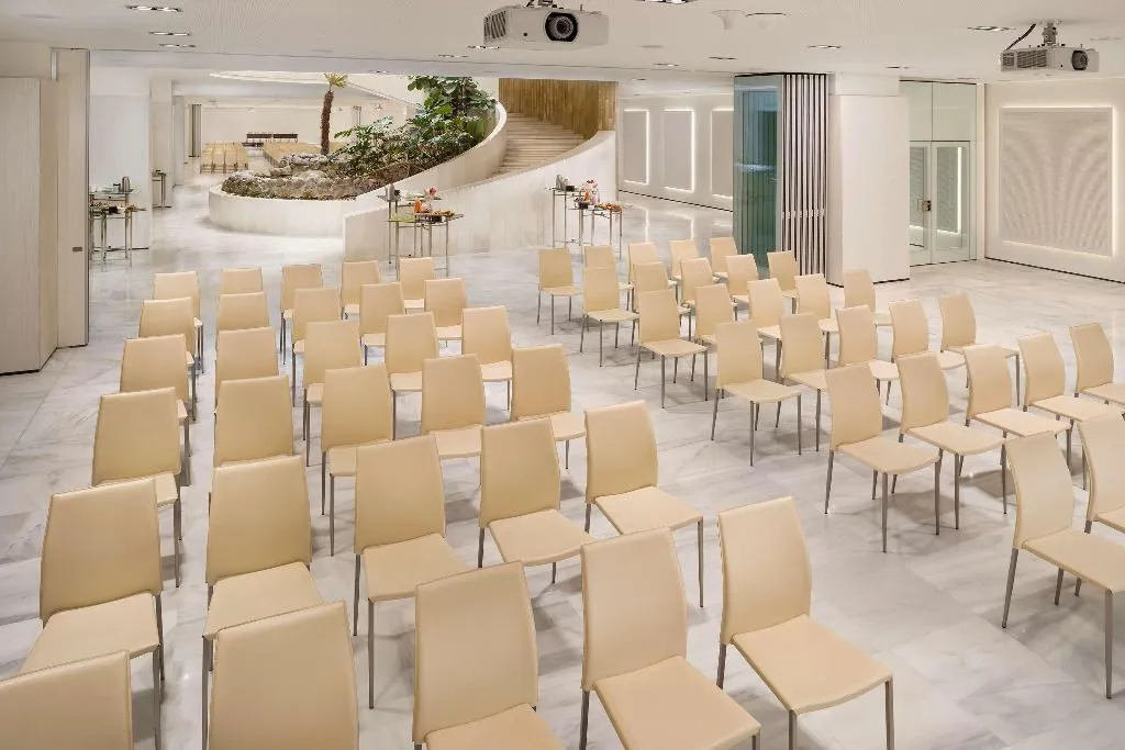 Conferences, Melia Lebreros, Seville