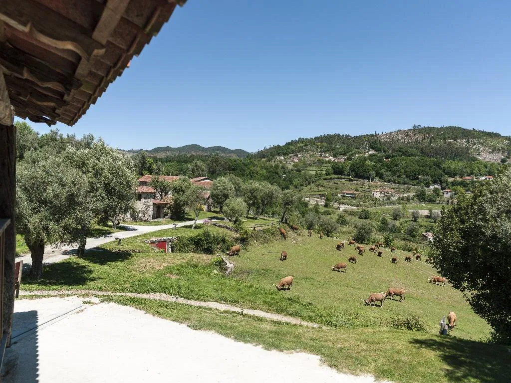 VILLA MOUNTAIN VIEW Room, Quinta Do Rapozinho, Porto