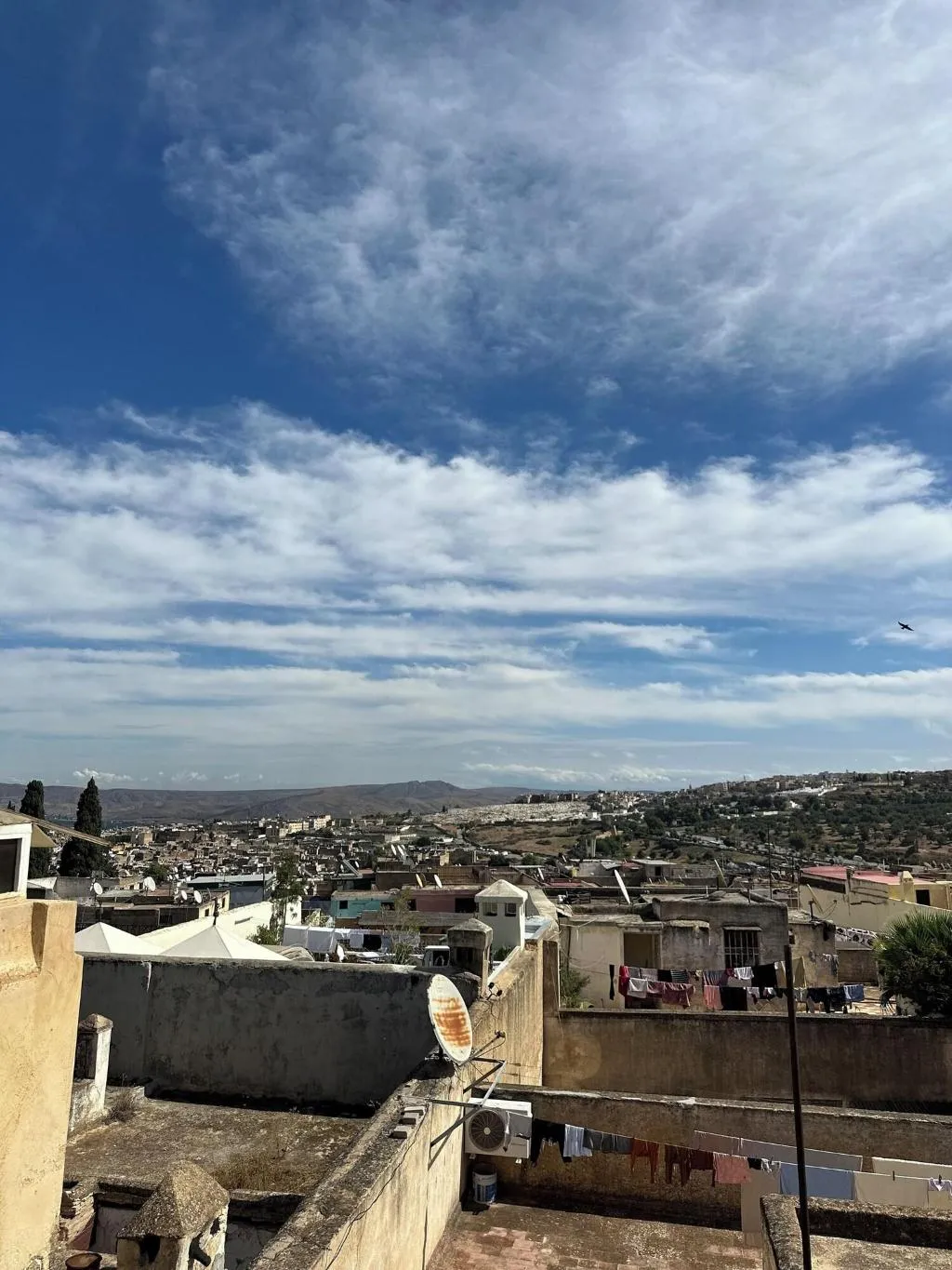 Terrace, Riad Damia, Fez