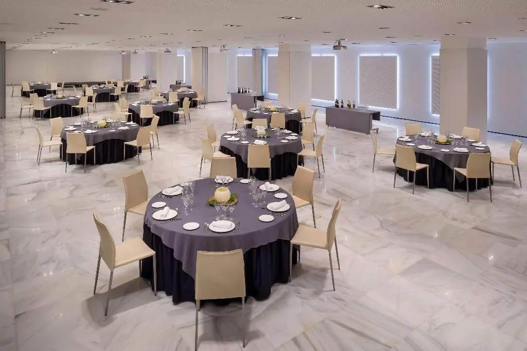Conferences, Melia Lebreros, Seville