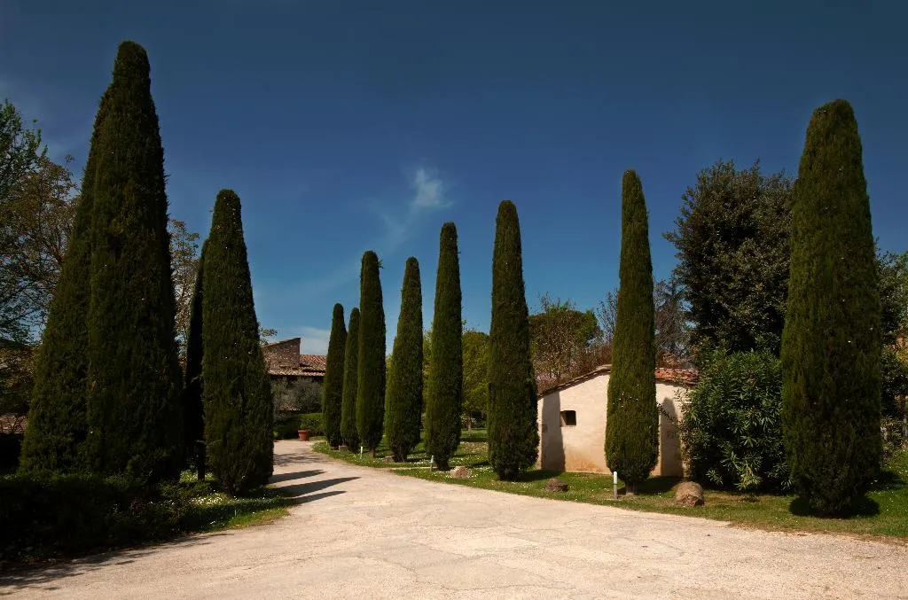 General view, Relais Della Rovere, Florence
