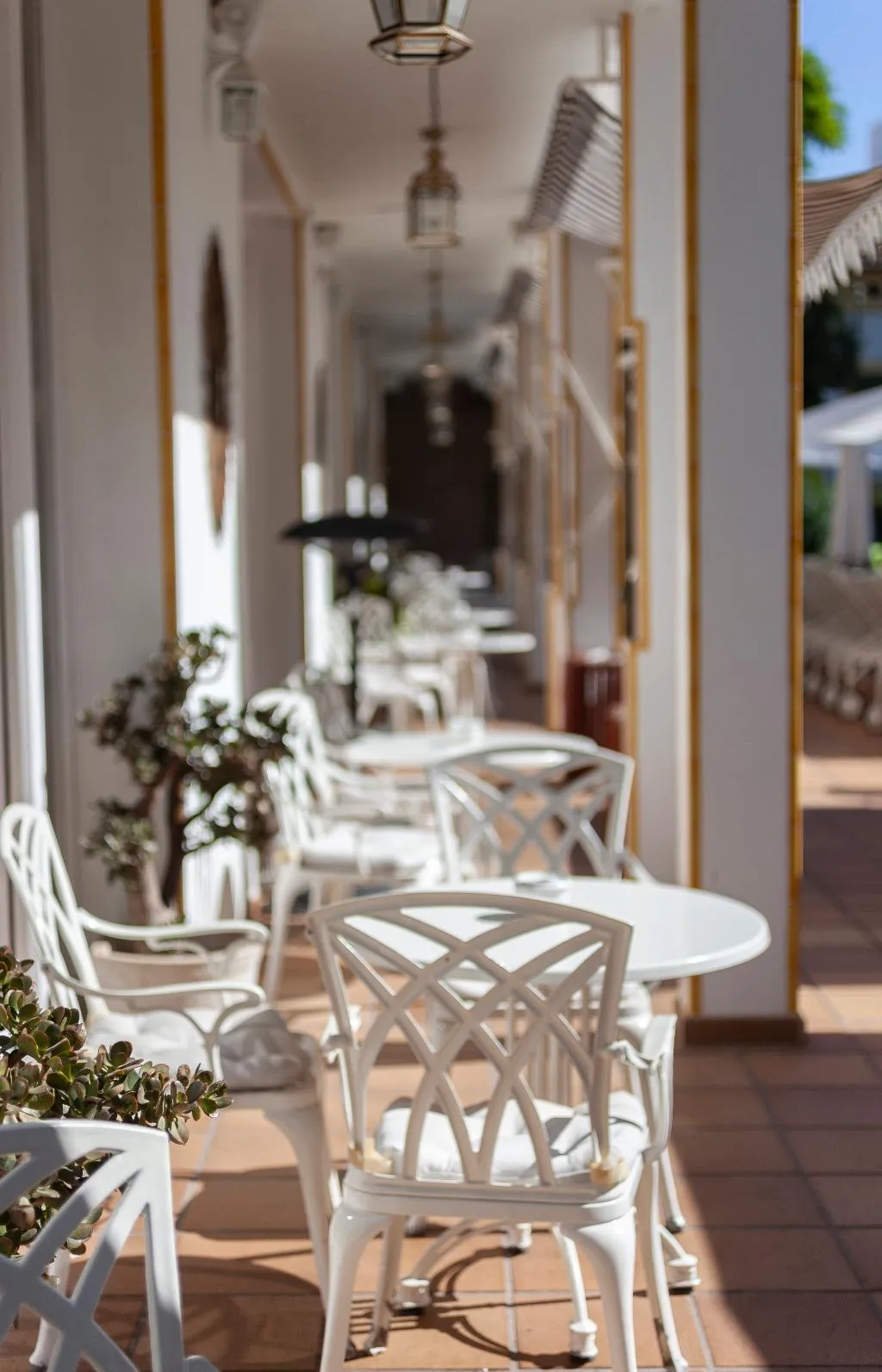 Terrace, Hotel Araxa - Adults only, Majorca