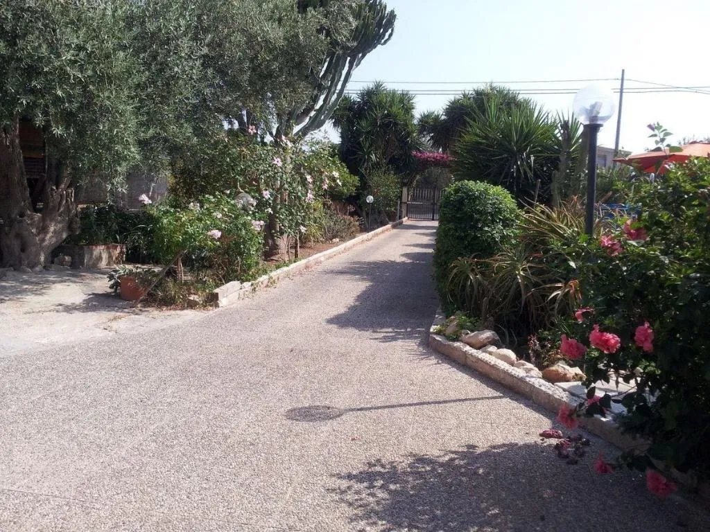 General view, Bouganvillea, Catania