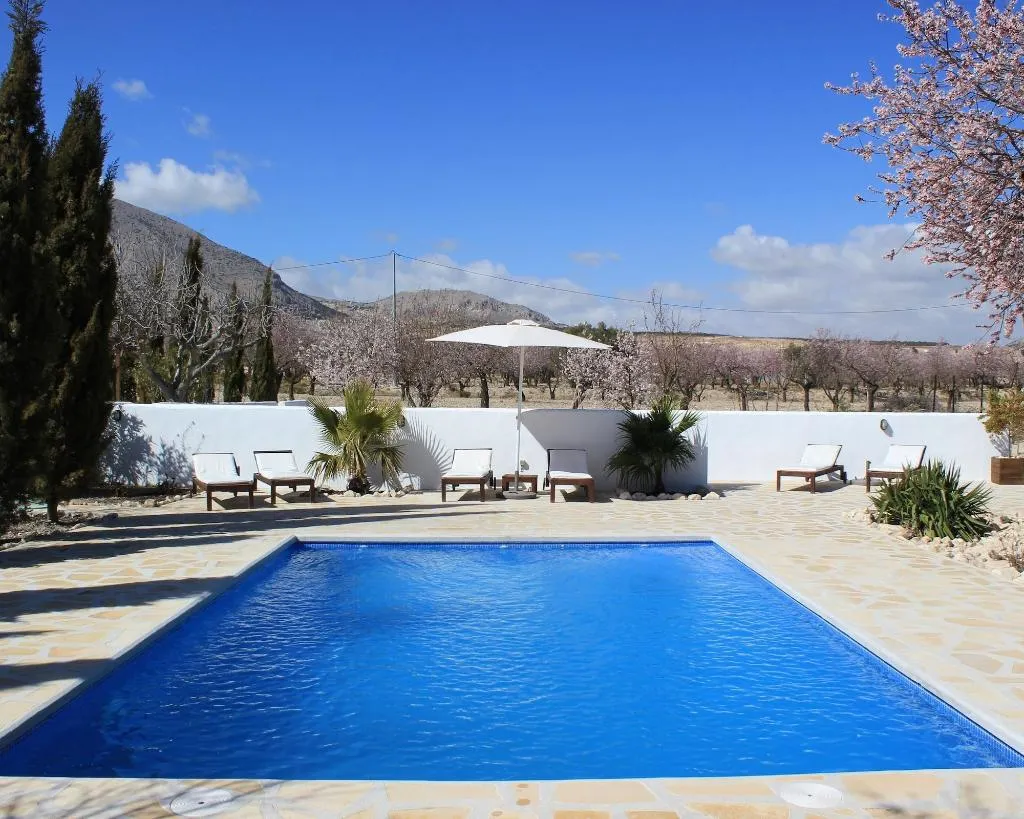 Sports and Entertainment, Luxe Bed And Breakfast Casa Paco, Andalucia