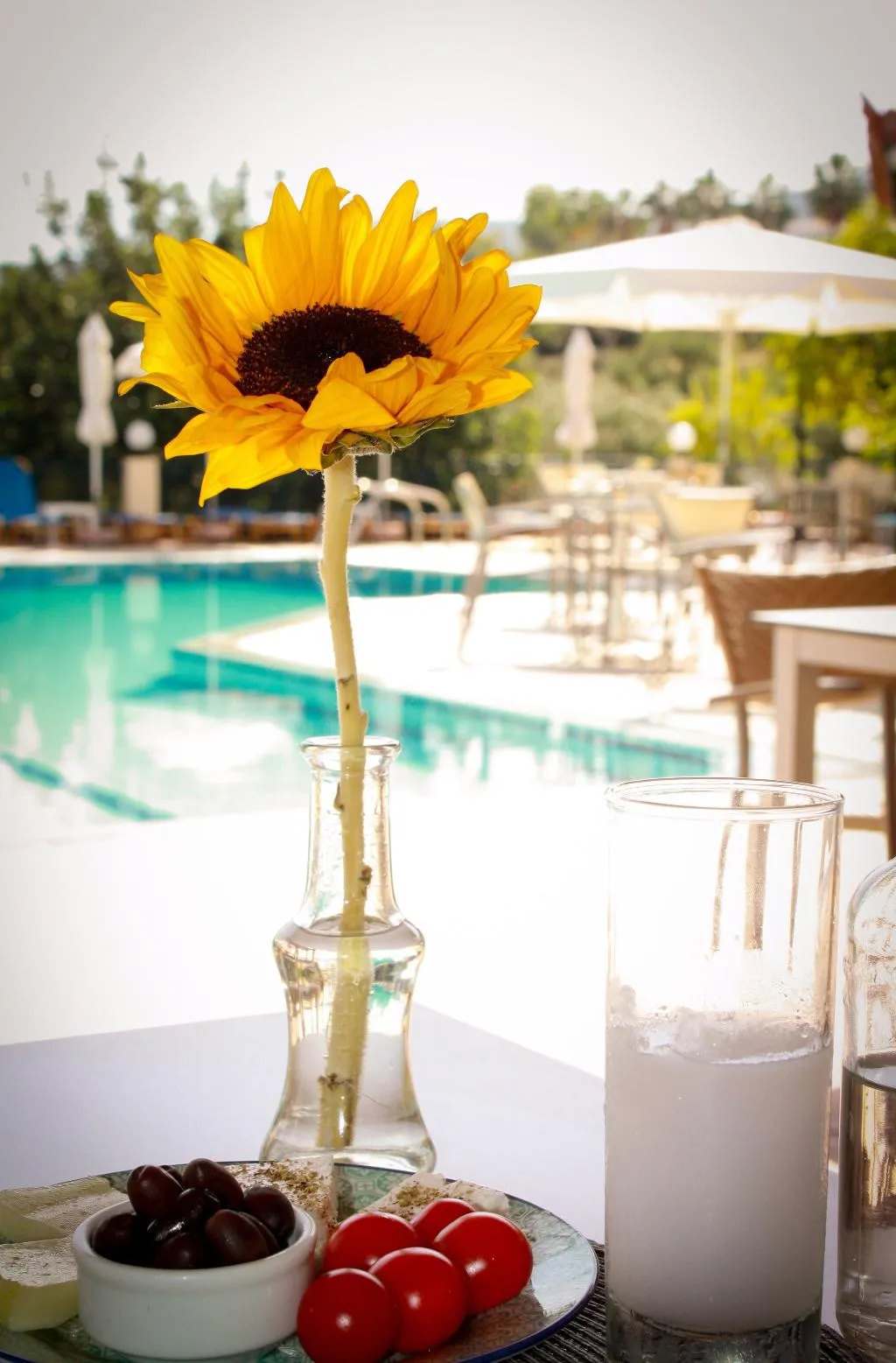 Restaurant, Villa Vicky Hersonissos, Crete