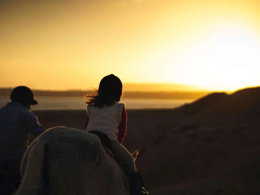 Sports and Entertainment, Mövenpick Sharm El Sheikh, Red Sea Riviera