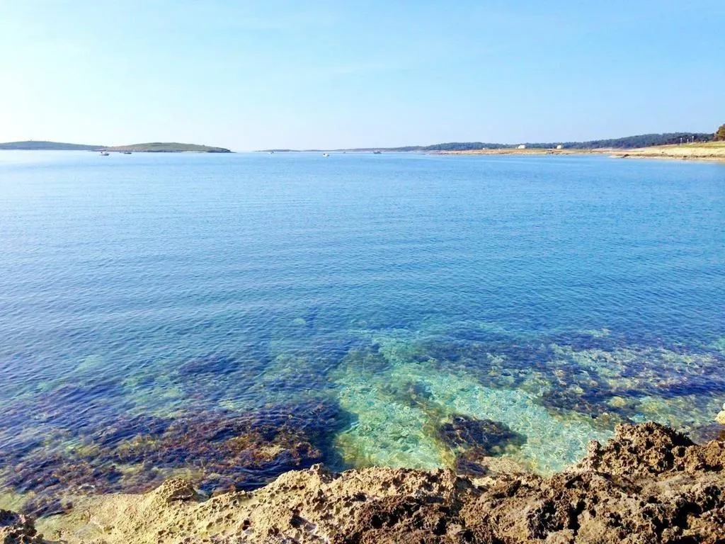 Beach, Apartments Salu - adults only, Istria