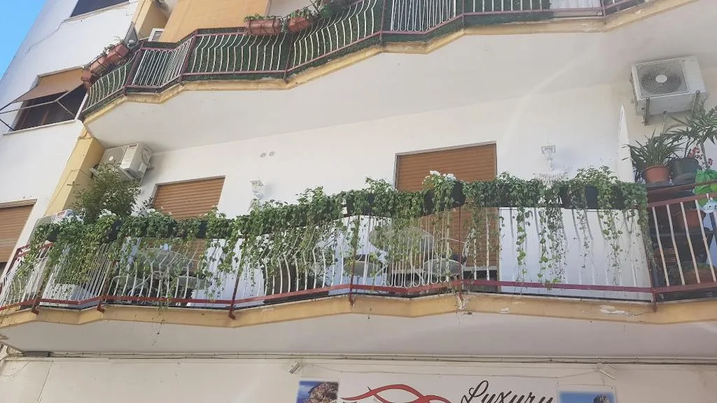 General view, Sorrento Flower Rooms, Naples