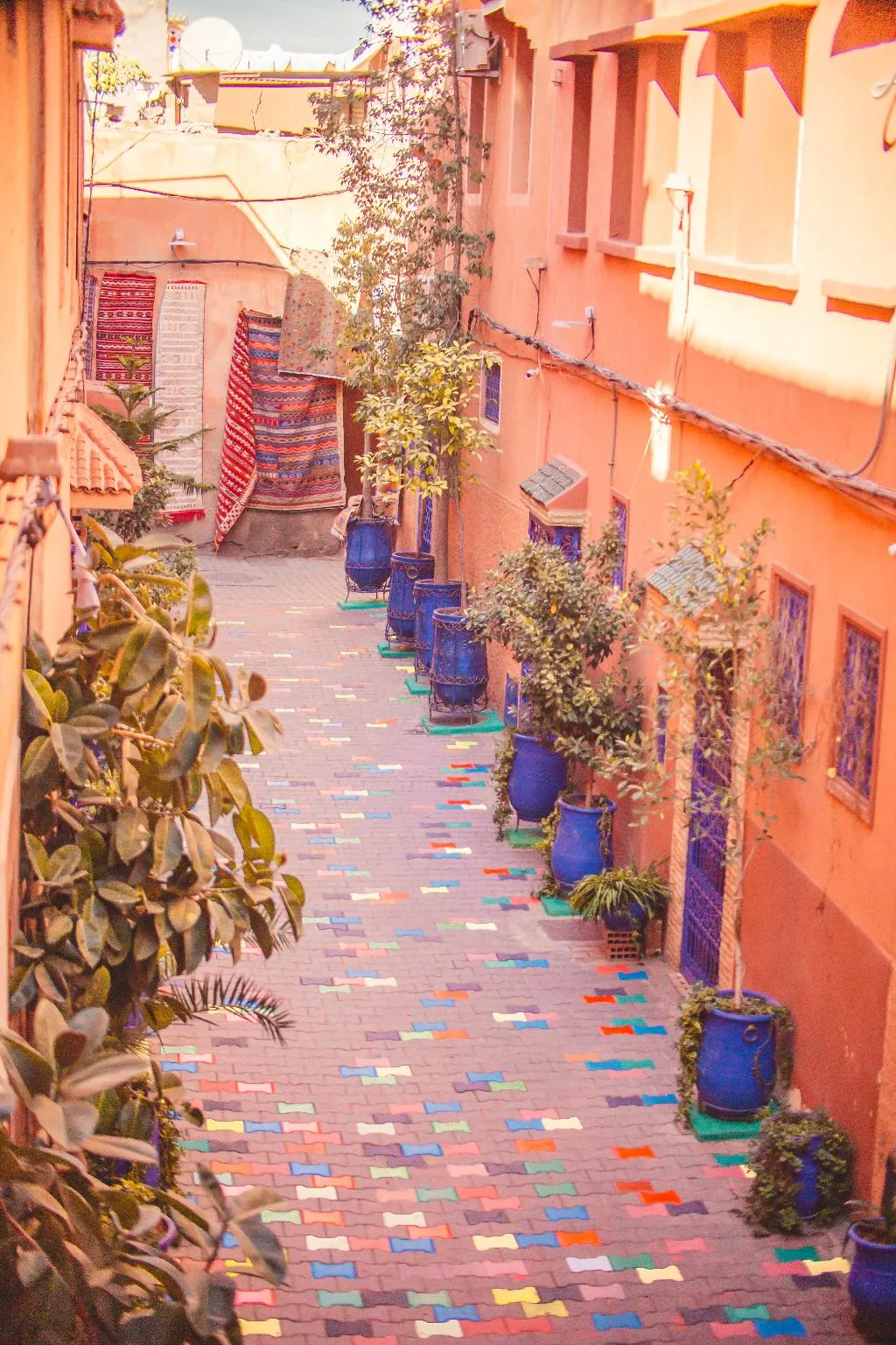 General view, Monriad, Marrakech