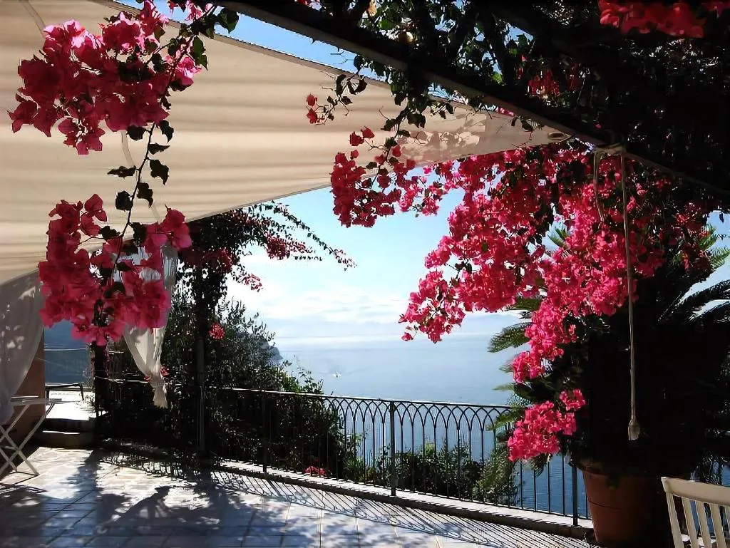 General view, B&B I Limoni, Naples