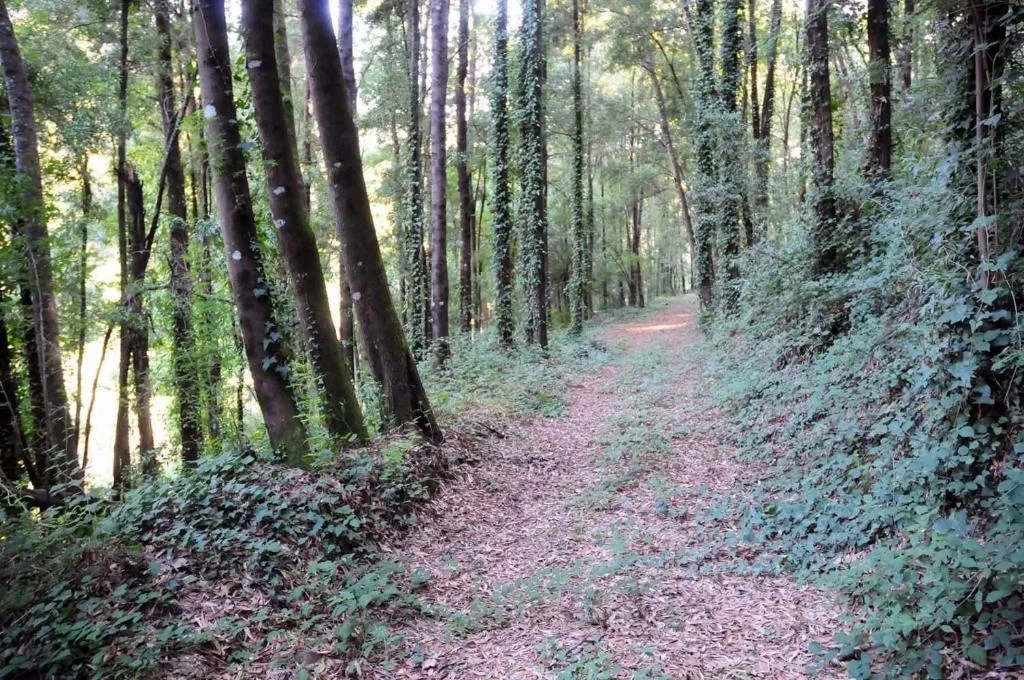 General view, Quinta Das Escomoeiras, Porto