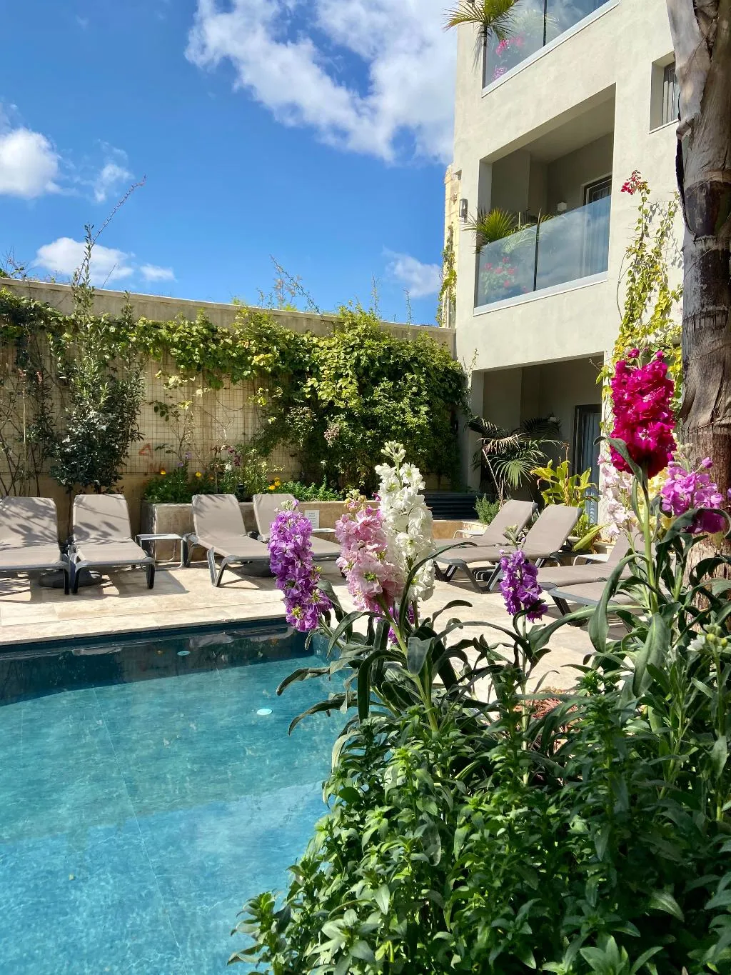 Pool, The Village Boutique & Spa, Malta