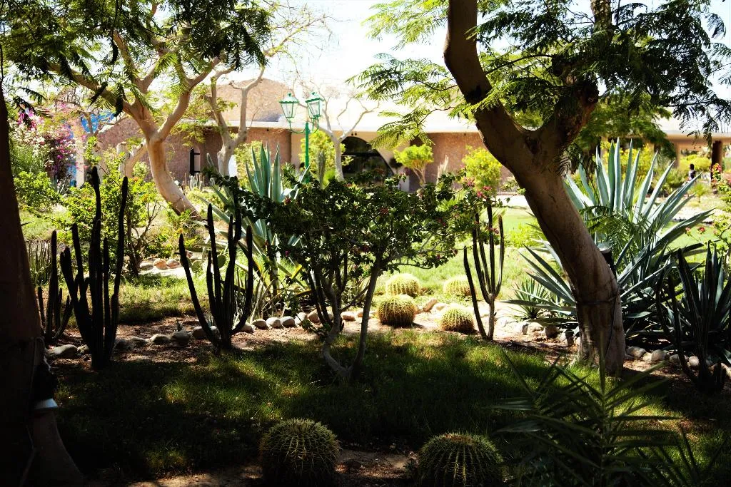 General view, Magawish Village & Resort, Red Sea Riviera
