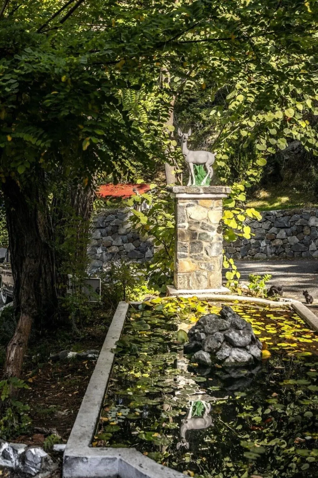 General view, Forest Park Hotel, Cyprus