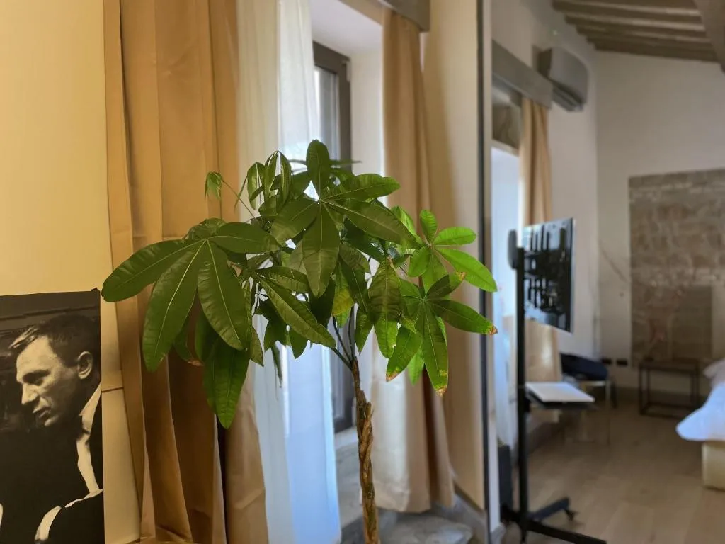 Room, Passpartout Boutique Palace, Rome
