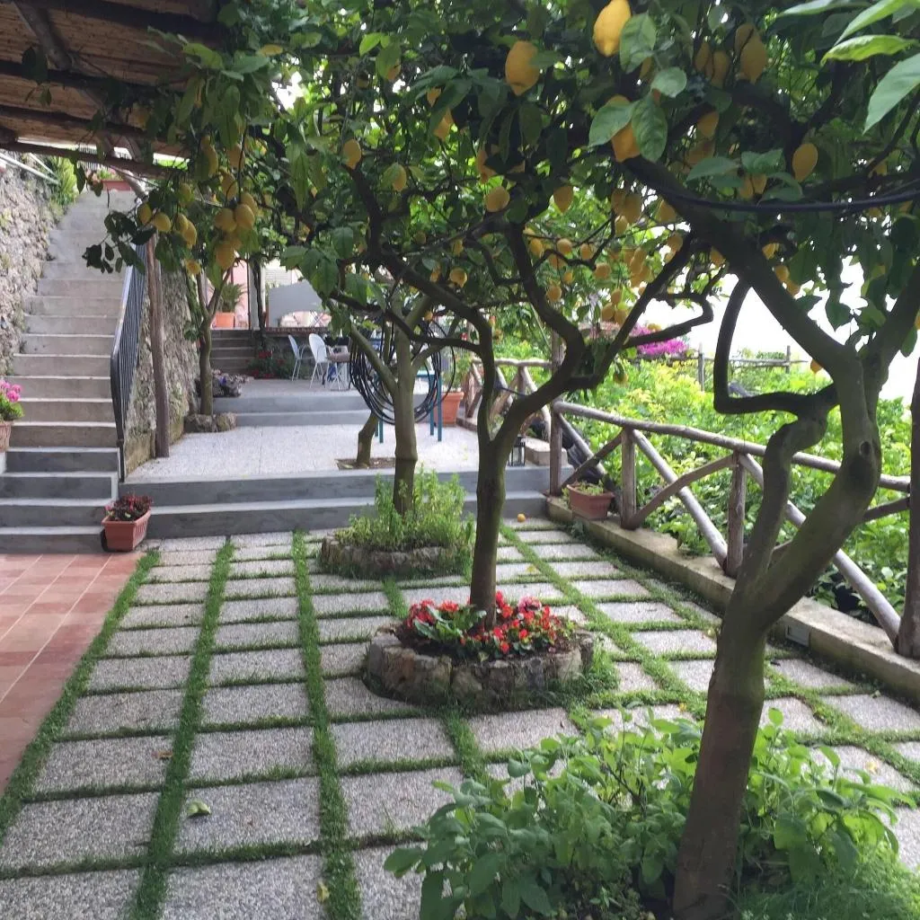 General view, B&B I Limoni, Naples