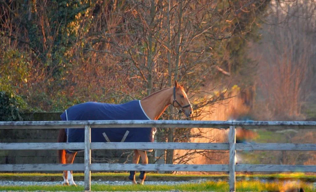 Sports and Entertainment, Agriturismo Il Boschetto, Milan