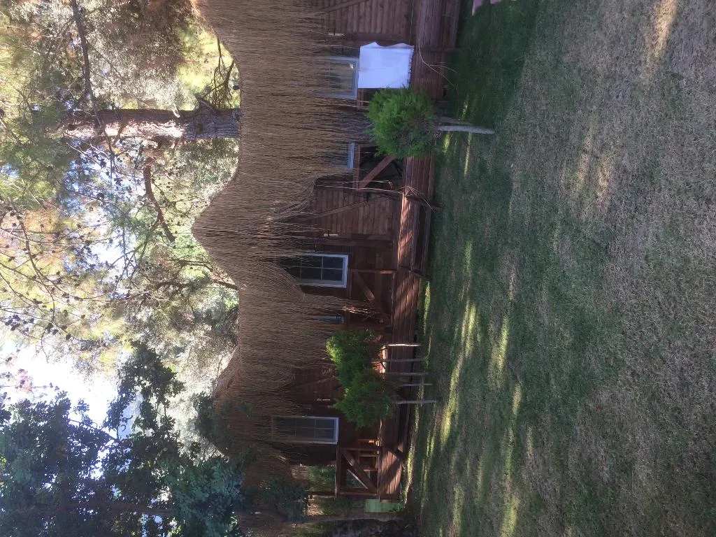 General view, Green Pine Beach & Bungalows Luxury Concept, Dalaman