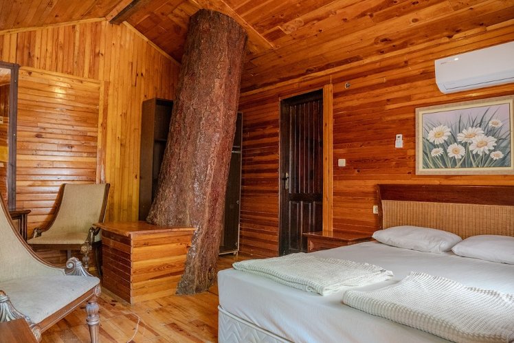 Kadir's Tree House, Antalya