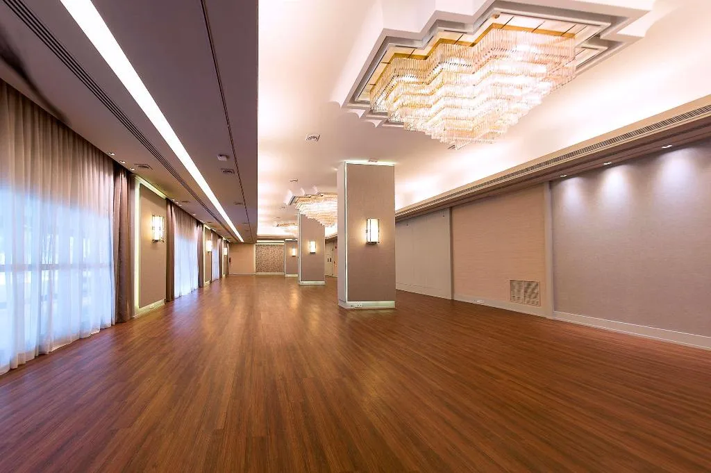 Conferences, Melia Castilla, Madrid