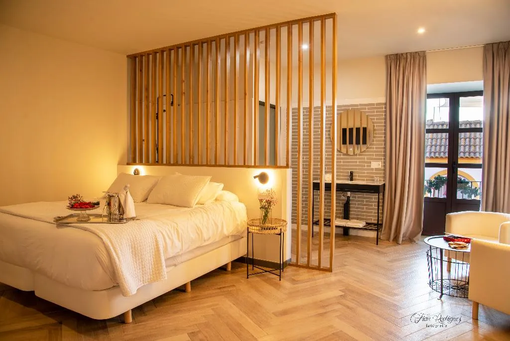 JUNIOR SUITE DELUXE Room, Palacio San Fernando, Andalucia