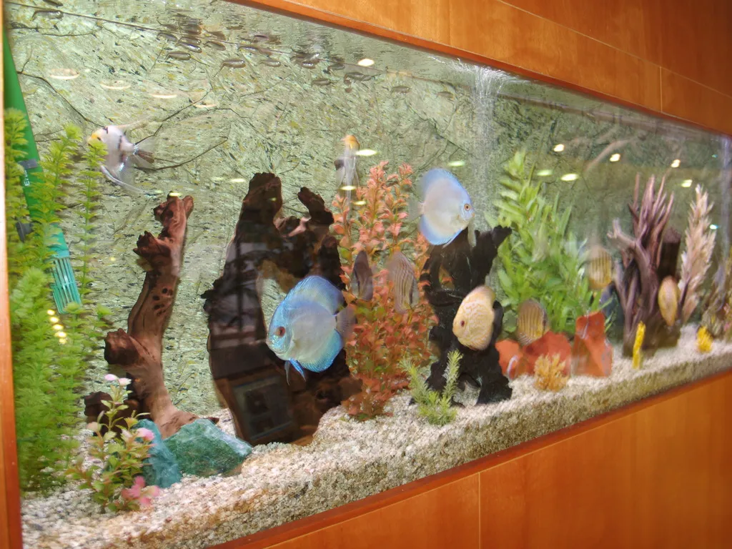 Lobby, Montemar Maritim, Costa Brava