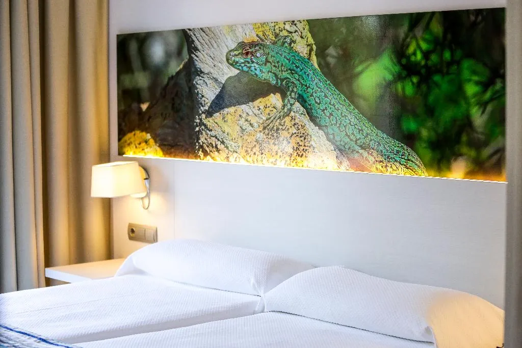 DOUBLE SINGLE USE STANDARD Room, Hotel Rosales Formentera, Ibiza