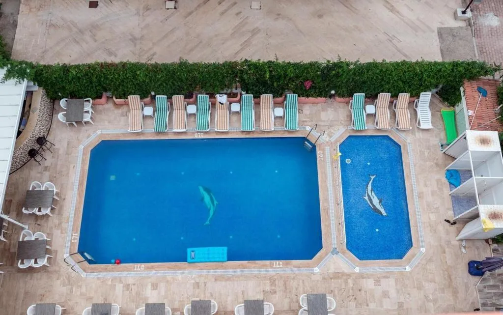 Pool, Zel Hotel, Antalya