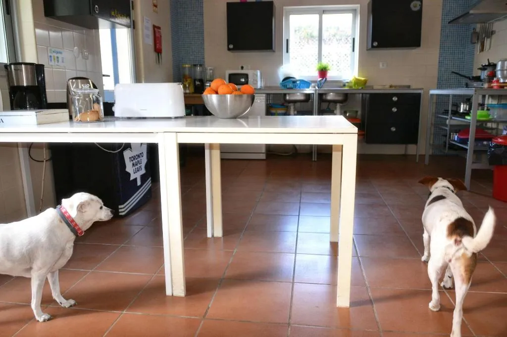 Restaurant, Aljezur Villas, Algarve