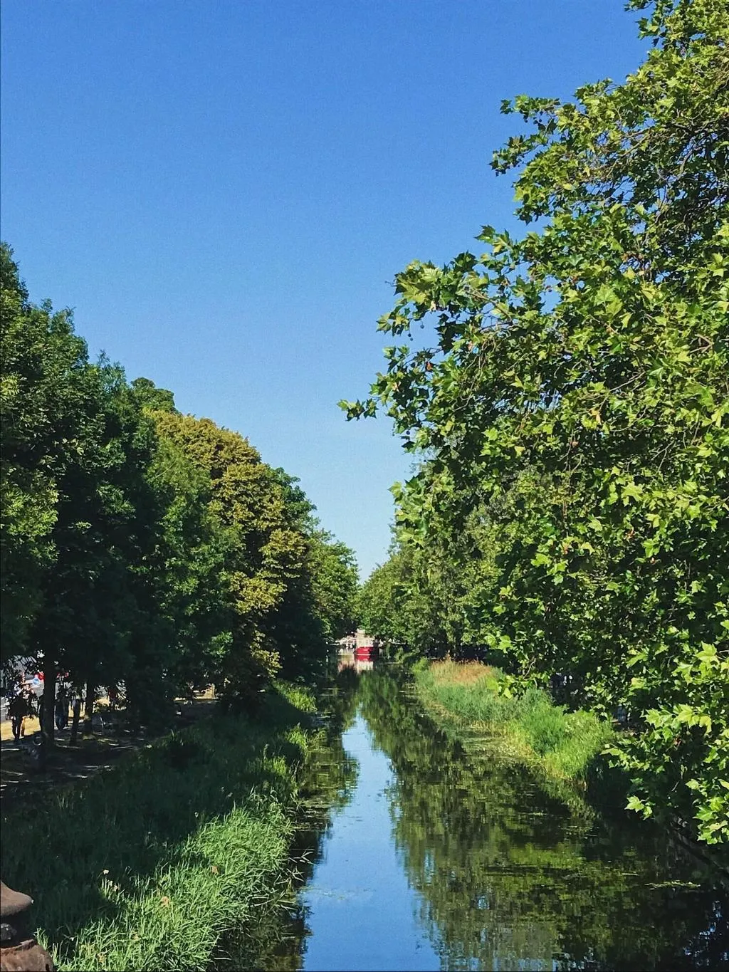 General view, Mespil, Dublin