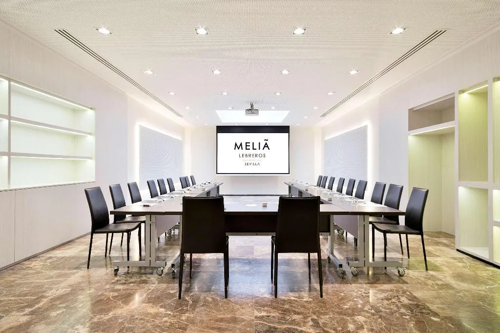 Conferences, Melia Lebreros, Seville