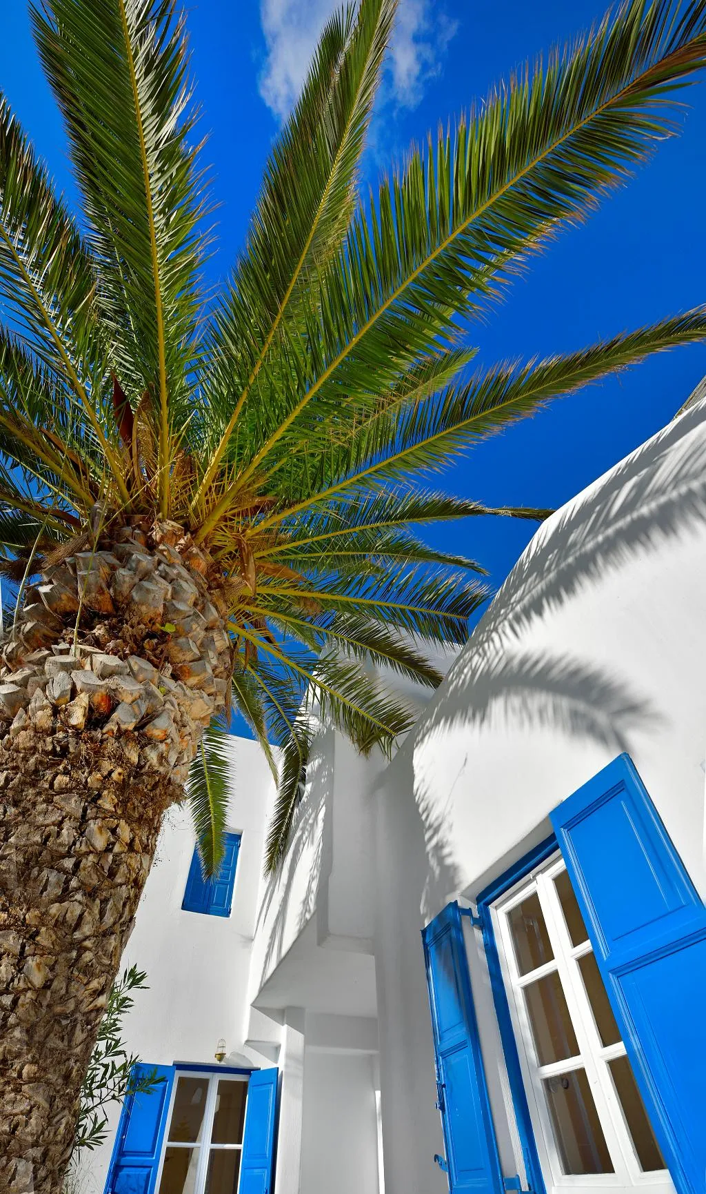 Terrace, Erato, Mykonos