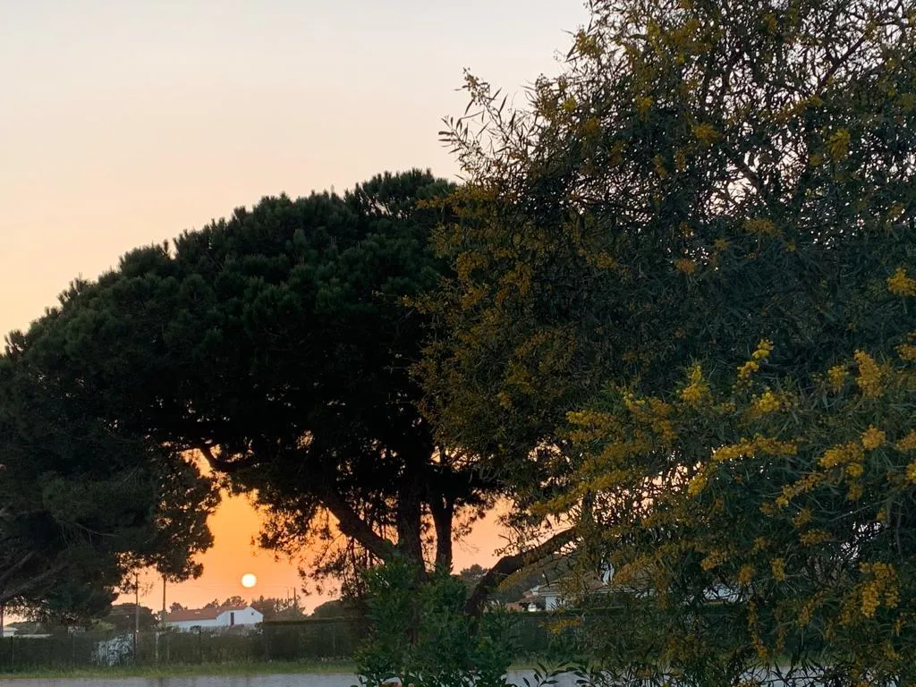 General view, Sublime Sun and Van by Meco Stays, Lisbon