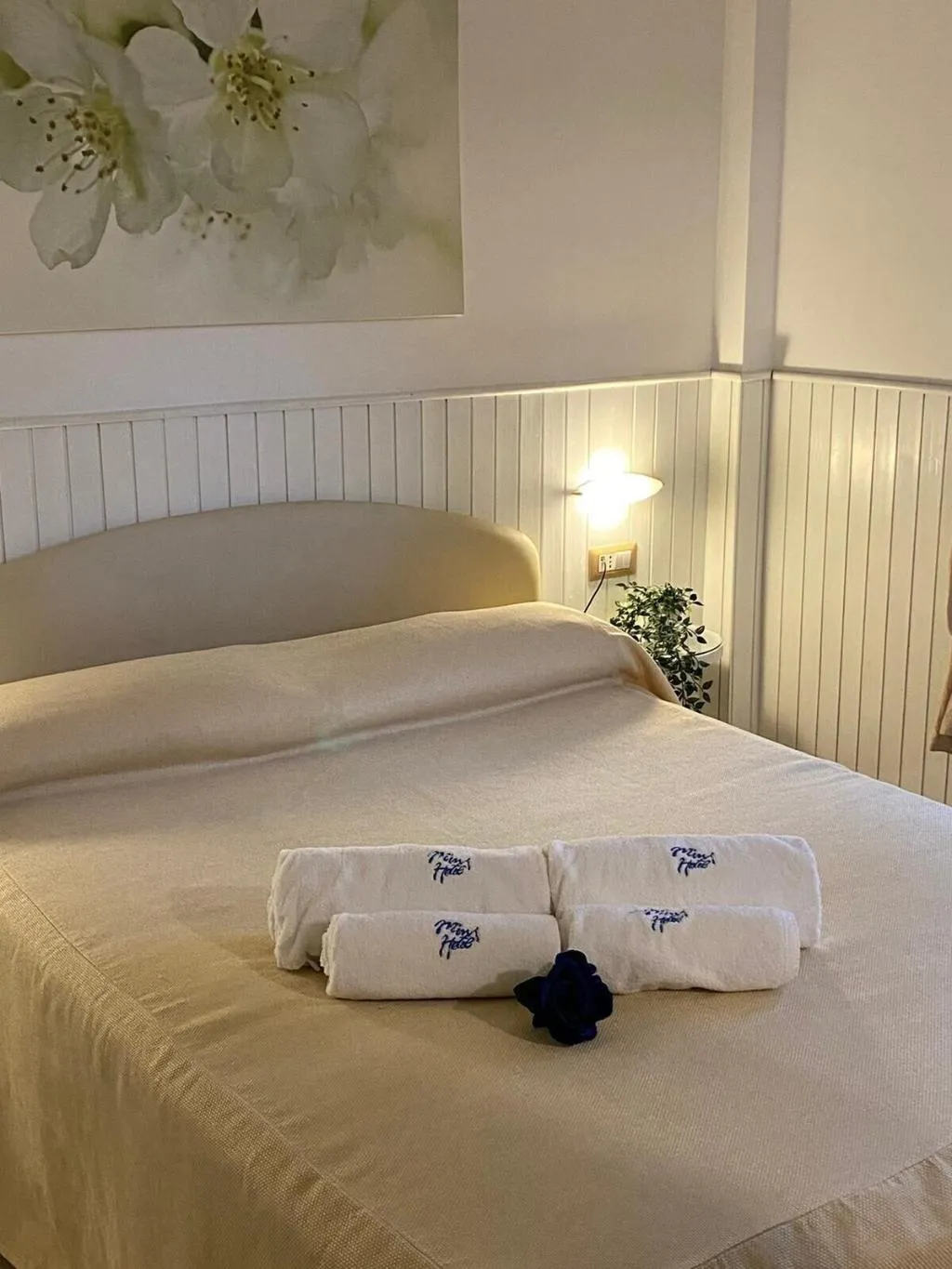 Room, Mini Hotel, Naples