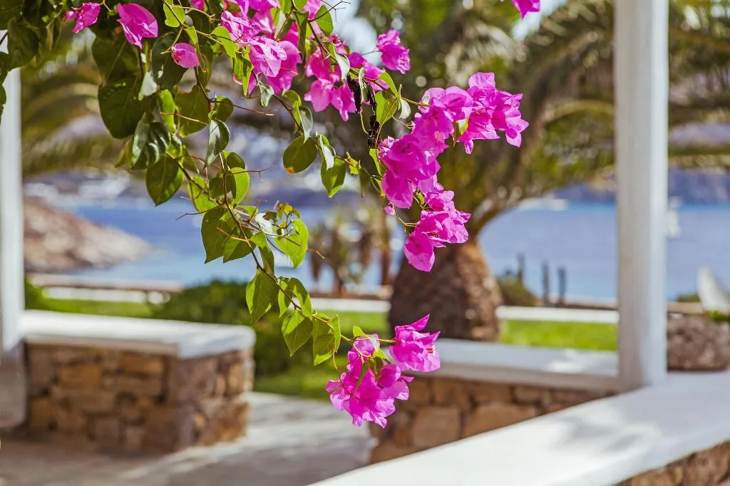 General view, Sea View Residence, Mykonos