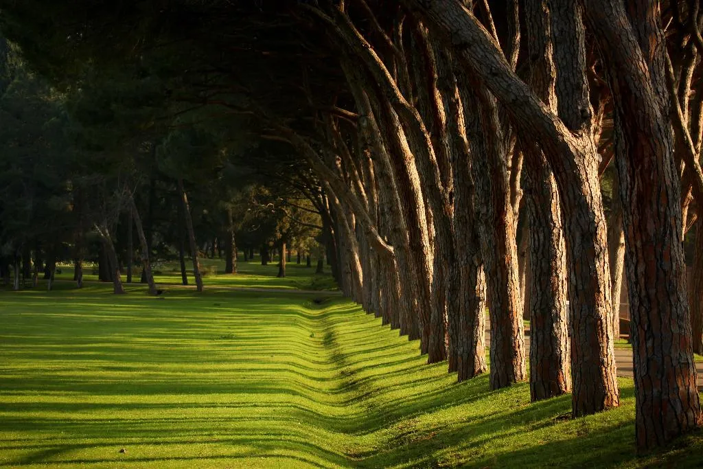 Sports and Entertainment, Brijuni Hotel Neptun, Istria
