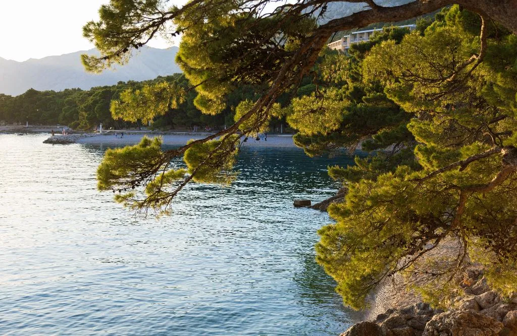 Beach, Bluesun Hotel Soline, Split