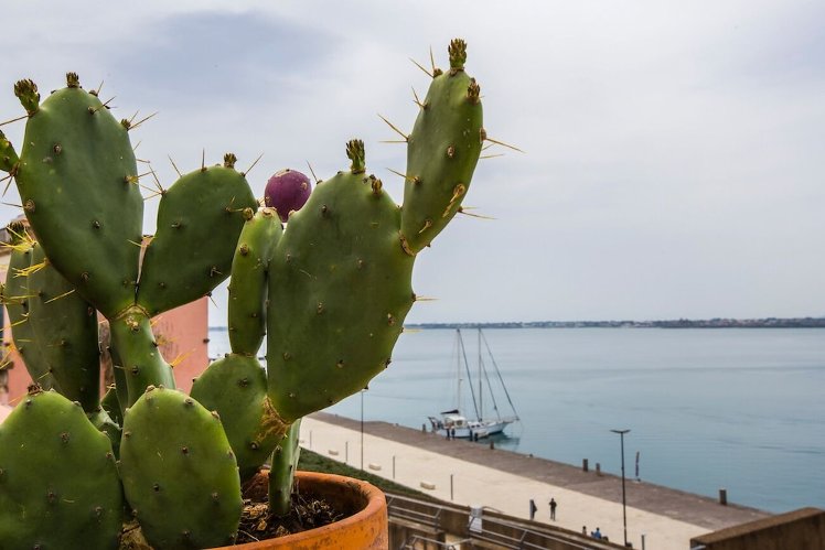Bed And Breakfast Porta Marina Ortigia, Catania