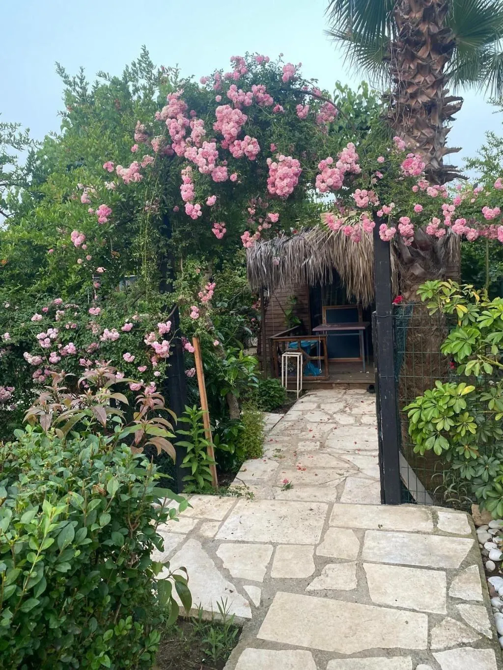 General view, Turkuaz Bungalows, Antalya