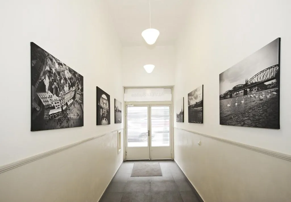 General view, Alveo Suites, Prague