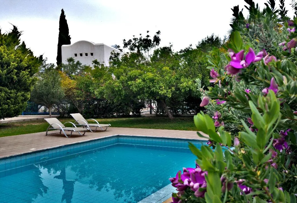 Pool, Azzurro Luxury Holiday Villas, Cyprus