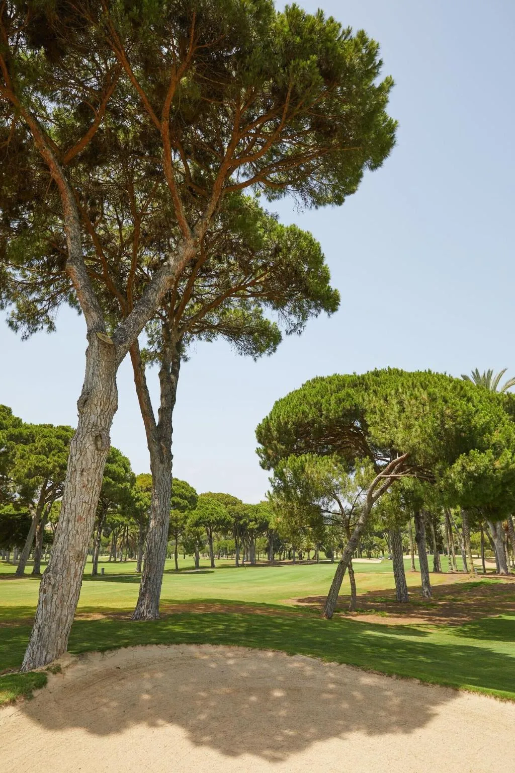 Sports and Entertainment, Rio Real Golf & Hotel, Costa Del Sol