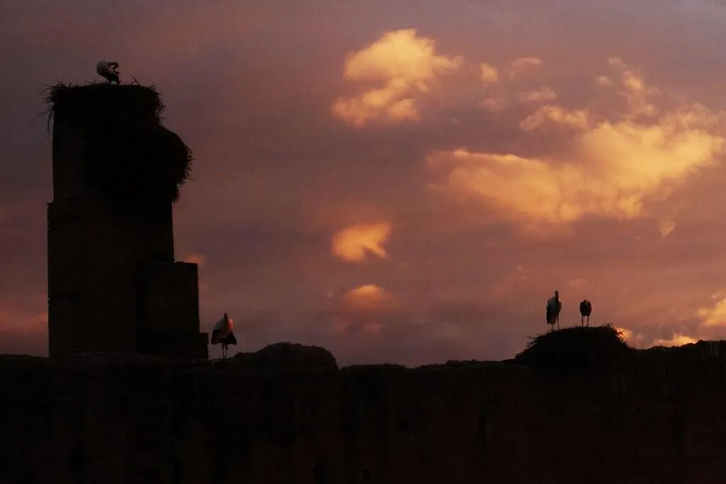 General view, Riad Of The Storks, Marrakech