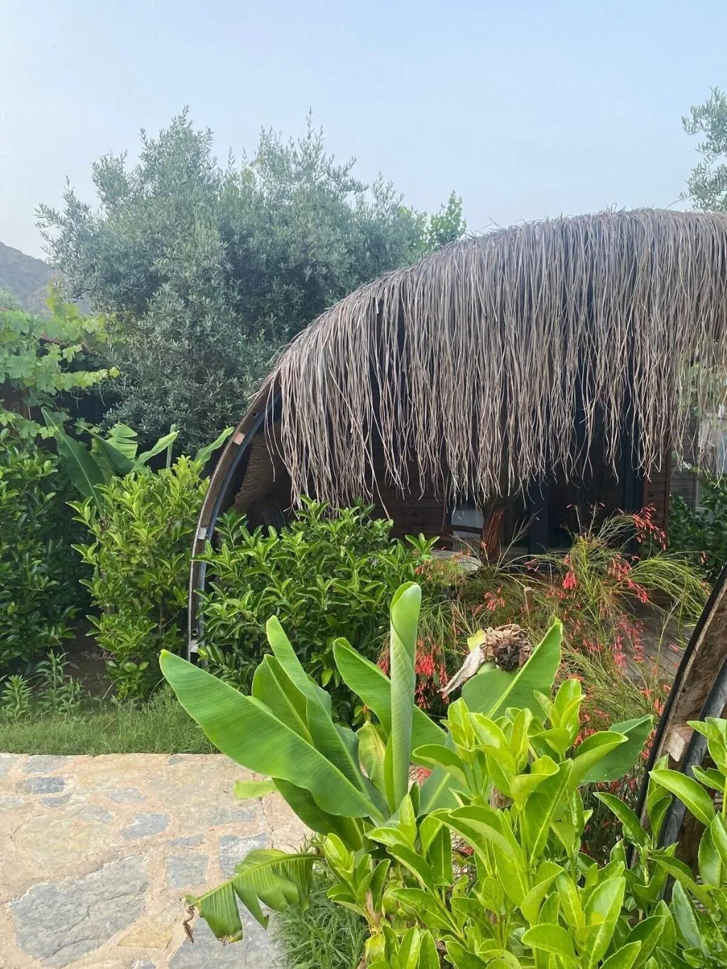 General view, Turkuaz Bungalows, Antalya